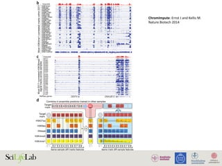 ChromImpute:	Ernst	J	and	Kellis	M.	
Nature	Biotech	2014	
As in b
Same-sample diff-marks features Same-mark diff-sample features
Combine in ensemble predictor trained in other samples
E1 E1
H3K27ac
H3K9ac
DNaseI
H3K4me3
H3K4me1
E8E7E6E5E4E3E2
E8E7E6E5E4E3E2
E1 E8E7E6E5E4E3E2
Target
mark
Target
mark
b
c
d
DDIT4 DNAJB12
H3K4me1
H3K4ac
H2AK5ac
H4K5ac
H2BK12ac
H3K18ac
H4K91ac
H2BK120ac
H4K8ac
H2BK15ac
H3K14ac
H2BK20ac
H2BK5ac
H3K23ac
H3K27ac
H3K9me1
H2AK9ac
H3K79me1
H3K4me2
H3K79me2
H3K56ac
H4K20me1
H2A.Z
H3K9ac
H3K36me3
DNase
H3K4me3
H3K27me3
H3K9me3
DNA methyl
H3K27me3
H3K36me3
H3K9me3
H3K27ac
H3K9ac
DNase
H3K4me2
H2A.Z
H3K79me2
H4K20me1
H2AK5ac
H2BK120ac
H2BK5ac
H3K18ac
H3K23ac
H3K4ac
H3K79me1
H4K8ac
H2BK12ac
H3K14ac
H4K91ac
H2BK15ac
H3K9me1
H2BK20ac
H3K56ac
H4K5ac
H3K23me2
H2AK9ac
H3T11ph
H4K12ac
DNAmethyl
RNAseq
Tier 1 Tier 2 Tier 3
d Imputed only Observed only
RefSeq genes
E017
E092
E080
E055
E090
E005
E089
E006
E111
E056
E063
E049
E084
E085
E096
E077
E094
E062
E113
E106
E107
Imputed
Imputed
MostE017-correlatedH3K36me3
signaltracksacrosssamples
MostH3K4me1-correlatedmarkswithinE017
As in
c
c
b
rview. (a) Matrix of observed and imputed datasets across 127 reference epigenomes (‘samples’), including 111
ect (rows 1–111) grouped and colored by cell/tissue type, and an additional 16 from ENCODE (rows 112–127),
 