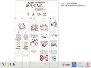 Reverse cross-links
Intramolecular
ligation (circle
formation required)
Intramolecular ligation
(circle formation
not required)
c d4C(i) 4C(ii)
Reverse cross-links,
clone fragments,
and pick colonies
b 6C
ChIPChIP
Cross-linked chromatin
Digest chromatin with a
4-bp cutter restriction enzyme
[6-bp cutter for 4C(ii)]
Reverse
cross-links and
amplify one or
a few regions
by quantitative
PCR with specific
primers
3C
Obtain a measure
of interaction
frequency
High-throughput
sequencing of PCR
products
High-throughput
sequencing of PCR
products
Self-ligation of short
molecules to form circles,
and amplification using
bait-specific primers
(red arrows)
Trim linear fragments
with a 4-bp cutter
restriction enzyme
Reverse cross-links
and amplify using
bait-specific primers
(red arrows)
Digest clones with
original restriction
enzyme, run on gel,
and sequence clones
with multiple inserts
Intramolecular
ligation
(circle formation
not required)
3C, 5C
Intramolecular ligation
(circle formation not required)
a
5C
Reverse
cross-links
and amplify a
large number
of regions
by MLPA
High-throughput
sequencing of
PCR products
Bait-specific primers
used in 4C to amplify
all fragments that
interact with the bait
Vector in which
interacting fragments
are cloned in 6C
Digested fragments
from two 6C clones
resolved by gel
electrophoresis
Primers
complementary to
the universal linkers
for amplification of
multiple interacting
segments in 5C
Sequence-specific
primers (colored
portions) with
universal linkers
(black and gray) for
detecting long-range
chromatin interactions
via MLPA-PCR in 5C
Sequence-specific
primers for detecting
a given long-range
chromatin interaction
in 3C
Antibody specific for
a particular
transcription factor
Chromatin that
intervenes between
segments that interact
Distal genomic
segments that
interact with each
other via looping of
chromatin (red is a
bait used in 4C)
Transcription factor
molecules
CTCF molecule
Annu.Rev.Genom.HumanGenet.2012.13:59-82.Downloadedfromwww.annualreviews.org
AccessprovidedbyUniversityofUppsalaon11/26/15.Forpersonaluseonly.
Sajan	S.A	and	Hawkins	R.D.	
Annu.	Rev.	Genomics	Hum.	Genet.	2012	
 