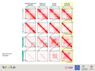 Rao	S.S.P.	et	al		
Cell	2014	
C
D
Figure 1. We Used In Situ Hi-C to Map over 15 Billion Chromatin Contacts across Nine Cell Types in Human and Mous
Resolution in Human Lymphoblastoid Cells
(A) During in situ Hi-C, DNA-DNA proximity ligation is performed in intact nuclei.
 