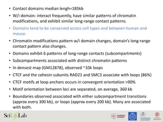 • Contact	domains	median	lengh=185kb	
• W/i	domain:	interact	frequently,	have	similar	patterns	of	chromatin	
modifications,	and	exhibit	similar	long-range	contact	patterns.	
• Domains	tend	to	be	conserved	across	cell	types	and	between	human	and	
mouse.	
• Chromatin	modifications	pattern	w/i	domain	changes,	domain’s	long-range	
contact	pattern	also	changes.	
• Domains	exhibit	6	patterns	of	long-range	contacts	(subcompartments)	
• Subcompartments	associated	with	distinct	chromatin	patterns	
• In	densest	map	(GM12878),	observed	~10k	loops	
• CTCF	and	the	cohesin	subunits	RAD21	and	SMC3	associate	with	loops	(86%)	
• CTCF	motifs	at	loop	anchors	occurs	in	convergent	orientation	>90%	
• Motif	orientation	between	loci	are	separated,	on	average,	360	kb	
• Boundaries	observed	associated	with	either	subcompartment	transitions	
(approx	every	300	kb),	or	loops	(approx	every	200	kb).	Many	are	associated	
with	both.	
 