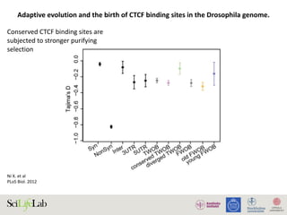 Ni	X.	et	al		
PLoS	Biol.	2012	
Adaptive	evolution	and	the	birth	of	CTCF	binding	sites	in	the	Drosophila	genome.Adaptive Evolution of CTCF Binding Sites
Conserved	CTCF	binding	sites	are	
subjected	to	stronger	purifying	
selection
 