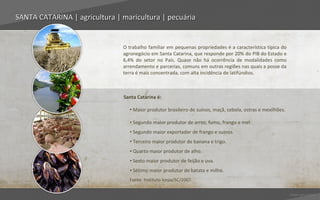 SANTA CATARINA | agricultura | maricultura | pecuária


                               O trabalho familiar em pequenas propriedades é a característica típica do
                               agronegócio em Santa Catarina, que responde por 20% do PIB do Estado e
                               6,4% do setor no País. Quase não há ocorrência de modalidades como
                               arrendamento e parcerias, comuns em outras regiões nas quais a posse da
                               terra é mais concentrada, com alta incidência de latifúndios.



                               Santa Catarina é:

                                 • Maior produtor brasileiro de suínos, maçã, cebola, ostras e mexilhões.

                                 • Segundo maior produtor de arroz, fumo, frango e mel.
                                 • Segundo maior exportador de frango e suínos.
                                 • Terceiro maior produtor de banana e trigo.
                                 • Quarto maior produtor de alho.
                                 • Sexto maior produtor de feijão e uva.
                                 • Sétimo maior produtor de batata e milho.
                                 Fonte: Instituto Icepa/SC/2007.

                                                                                                            Voltar para índice
 