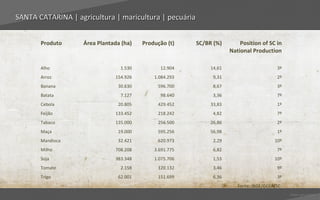 SANTA CATARINA | agricultura | maricultura | pecuária


       Produto     Área Plantada (ha)   Produção (t)    SC/BR (%)        Position of SC in
                                                                     National Production

       Alho                     1.530         12.904         14,61                       3º
       Arroz                  154.926       1.084.293         9,31                       2º
       Banana                  30.630        596.700          8,67                       3º
       Batata                   7.127         98.640          3,36                       7º
       Cebola                  20.805        429.452         33,83                       1º
       Feijão                 133.452        218.242          4,82                       7º
       Tabaco                 135.000        256.500         26,86                       2º
       Maça                    19.000        595.256         56,98                       1º
       Mandioca                32.421        620.973          2,29                      10º
       Milho                  708.208       3.691.775         6,82                       7º
       Soja                   383.348       1.075.706         1,53                      10º
       Tomate                   2.158        120.132          3,46                       9º
       Trigo                   62.001        151.699          6,36                       3º
                                                                        Fonte: IBGE/GCEA/SC.
                                                                                               Voltar para índice
 