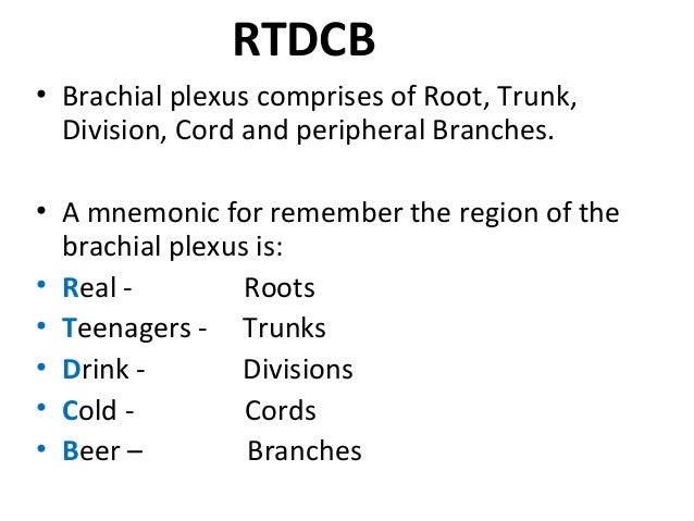 anatomy of brachial plexus by murtaza syed akuh karachi brachial plexus mnemonic