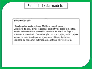 Indicações de Uso:
- Carvão, Arborização Urbana, Melífera, madeira nobre,
Mobiliário de luxo, folhas faqueadas decorativas, peças torneadas,
painéis compensados e divisórias, coronhas de armas de fogo e
instrumentos musicais. Em construção civil como vigas, caibros, ripas,
marcos ou batentes de portas e janelas, molduras, lambris e
similares; ou em partes externas como esteios, estruturas, etc.
Finalidade da madeira
 