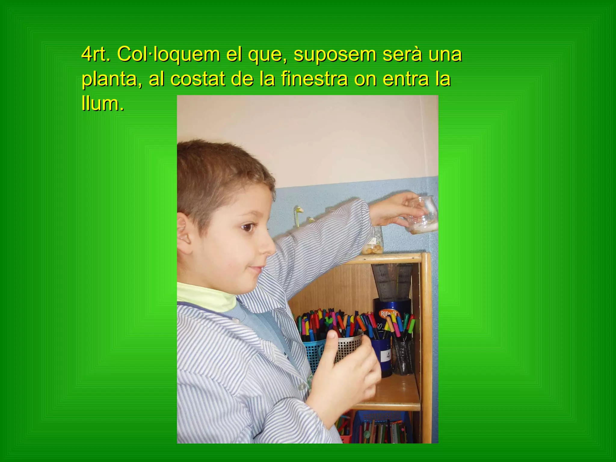 4rt. Col·loquem el que, suposem serà una planta, al costat de la finestra on entra la llum. 