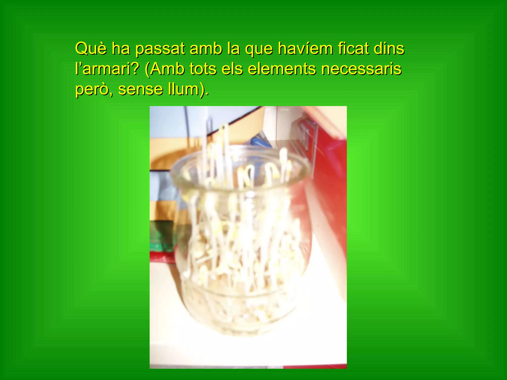 Què ha passat amb la que havíem ficat dins l’armari? (Amb tots els elements necessaris però, sense llum). 