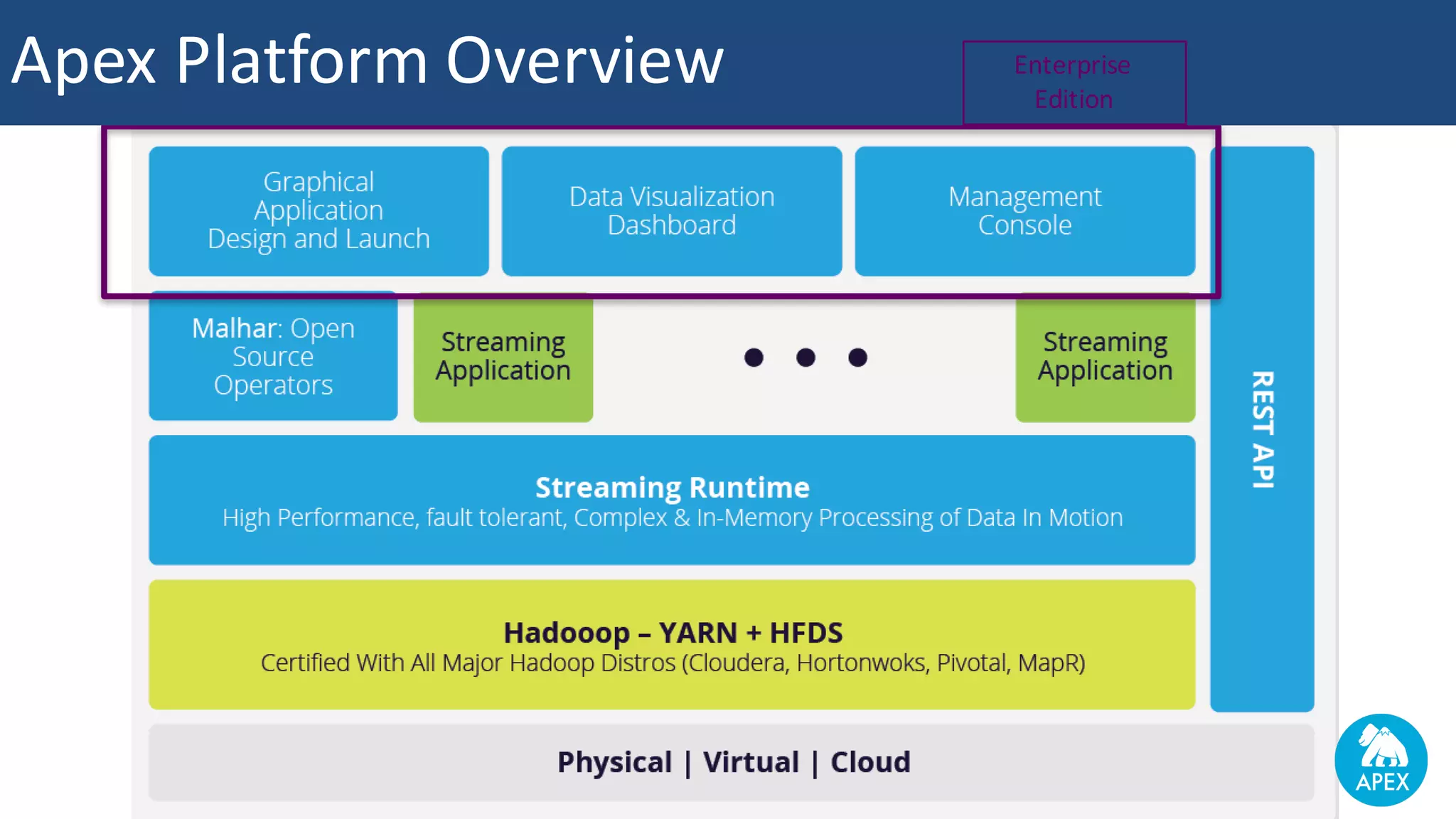 Apex	Platform	Overview Enterprise Edition 