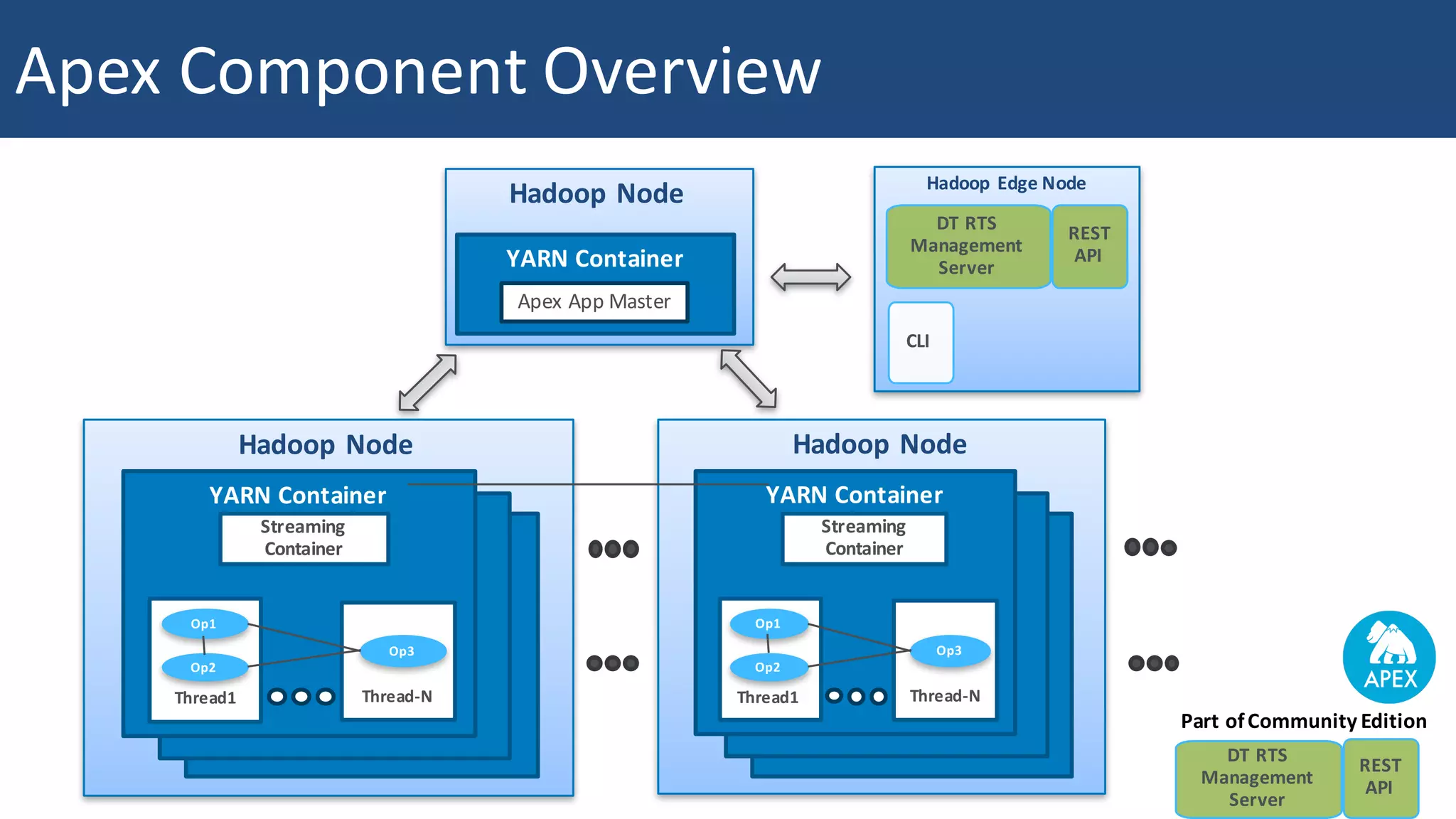 Hadoop Edge	Node DT	RTS Management Server Hadoop	Node YARN	Container Apex	App	Master Hadoop	Node YARN	Container YARN	Container YARN	Container Thread1 Op2 Op1 Thread-N Op3 Streaming Container Hadoop	Node YARN	Container YARN	Container YARN	Container Thread1 Op2 Op1 Thread-N Op3 Streaming Container CLI REST API DT	RTS Management Server REST API Part	of	Community	Edition Apex	Component	Overview 