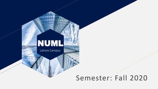 Semester: Fall 2020
NUML
Lahore Campus
 