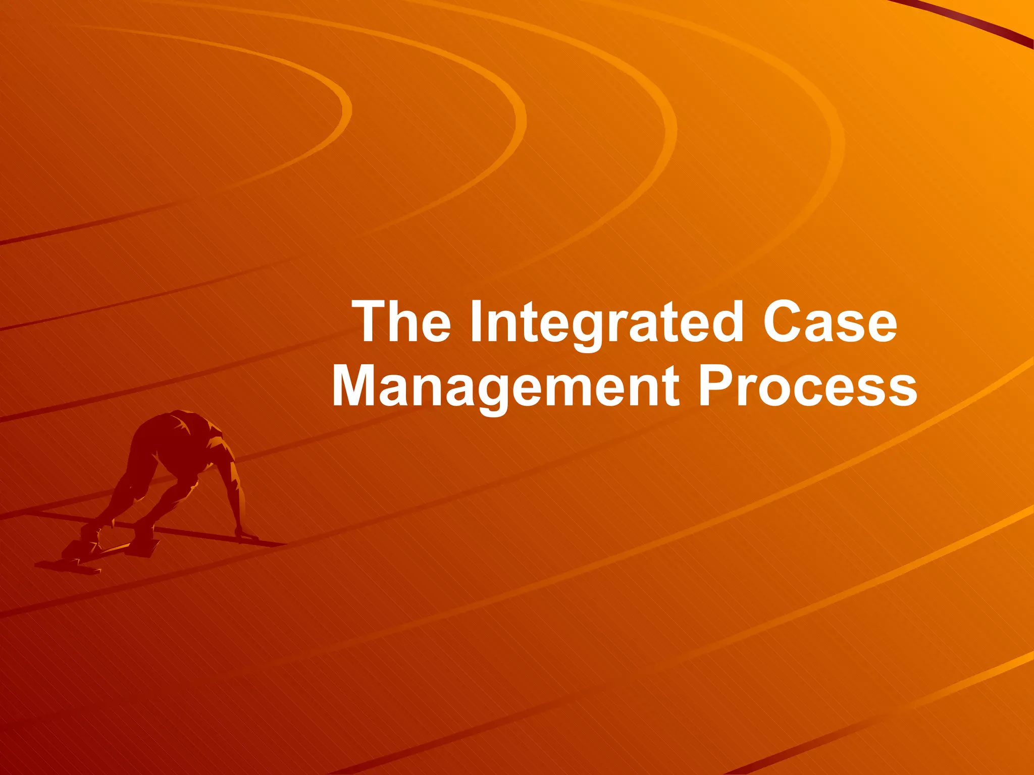 The Integrated Case Management Process 