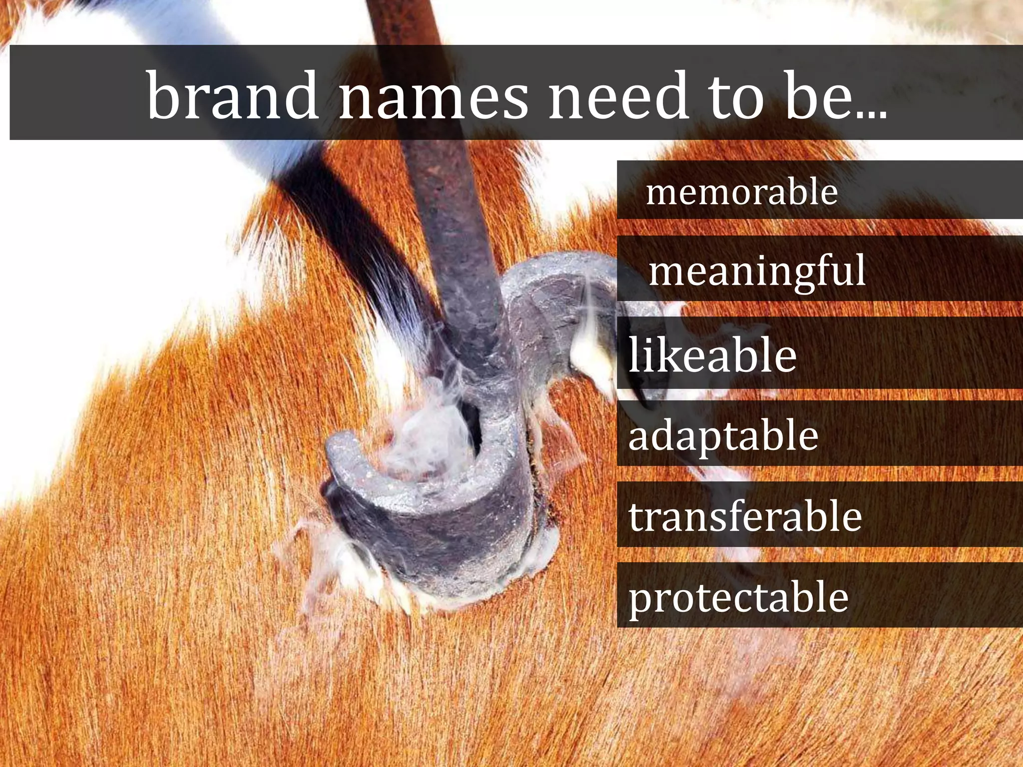 brand names need to be...
memorable
likeable
adaptable
transferable
meaningful
protectable
 