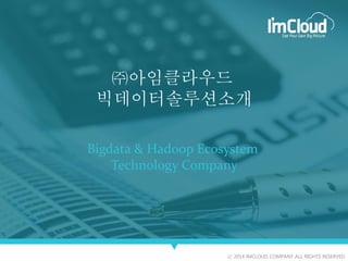 Bigdata & Hadoop Ecosystem
Technology Company
ⓒ 2014 IMCLOUD COMPANY ALL RIGHTS RESERVED
㈜아임클라우드
빅데이터솔루션소개
 