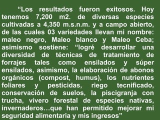 “Los resultados fueron exitosos. Hoy
tenemos 7,200 m2. de diversas especies
cultivadas a 4,350 m.s.n.m. y a campo abierto,
de las cuales 03 variedades llevan mi nombre:
maleo negro, Maleo blanco y Maleo Ceba;
asimismo sostiene: “logré desarrollar una
diversidad de técnicas de tratamiento de
forrajes tales como ensilados y súper
ensilados, asimismo, la elaboración de abonos
orgánicos (compost, humus), los nutrientes
foliares y pesticidas, riego tecnificado,
conservación de suelos, la piscigranja con
trucha, vivero forestal de especies nativas,
invernaderos…que han permitido mejorar mi
seguridad alimentaria y mis ingresos”
 