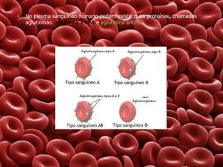 •

No plasma sanguíneo humano podem existir duas proteínas, chamadas
aglutininas: aglutinina anti-A e aglutinina anti-B.

 