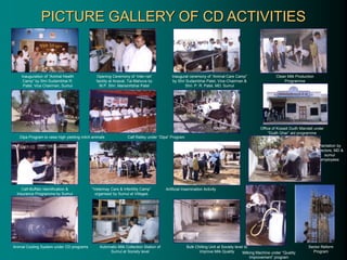 PICTURE GALLERY OF CD ACTIVITIES
Opening Ceremony of ‘Inter-net’
facility at Anaval, Tal-Mahuva by
M.P. Shri. Mansinhbhai Patel
Inauguration of “Animal Health
Camp” by Shri.Sudambhai R.
Patel, Vice Chairman, Sumul
Inaugural ceremony of “Animal Care Camp”
by Shri Sudambhai Patel, Vice-Chairman &
Shri. P. R. Patel, MD, Sumul
Dipa Program to raise high yielding milch animals
Calf-Buffalo Identification &
Insurance Programme by Sumul
“Veterinay Care & Infertility Camp”
organised by Sumul at Villeges
Office of Kosadi Dudh Mandali under
“Dudh Ghar” aid programme
Calf Ralley under “Dipa” Program
Milking Machine under “Quality
Improvement” program
Artificial Insemination Activity
Clean Milk Production
Programme
Animal Cooling System under CD programs Bulk Chilling Unit at Society level to
improve Milk Quality
Automatic Milk Collection Station of
Sumul at Society level
Plantation by
Directors, MD &
sumul
employees
Sector Reform
Program
 