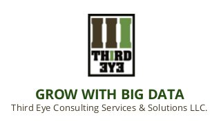 GROW WITH BIG DATA
Third Eye Consulting Services & Solutions LLC.
 