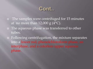  The samples were centrifuged for 15 minutes
at no more than 12,000 g (4°C).
 The aqueous phase was transferred to other
tubes.
 Following centrifugation, the mixture separates
into a lower red, phenolchloroform phase, an
interphase, and a colorless upper aqueous
phase.
 