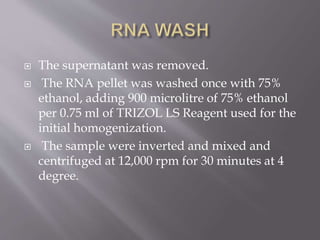  The supernatant was removed.
 The RNA pellet was washed once with 75%
ethanol, adding 900 microlitre of 75% ethanol
per 0.75 ml of TRIZOL LS Reagent used for the
initial homogenization.
 The sample were inverted and mixed and
centrifuged at 12,000 rpm for 30 minutes at 4
degree.
 