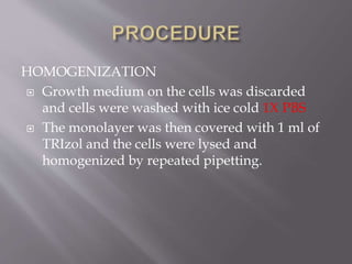 HOMOGENIZATION
 Growth medium on the cells was discarded
and cells were washed with ice cold 1X PBS
 The monolayer was then covered with 1 ml of
TRIzol and the cells were lysed and
homogenized by repeated pipetting.
 