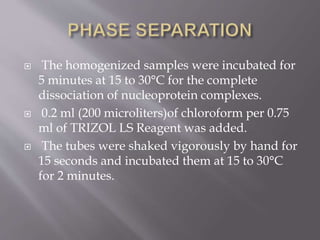  The homogenized samples were incubated for
5 minutes at 15 to 30°C for the complete
dissociation of nucleoprotein complexes.
 0.2 ml (200 microliters)of chloroform per 0.75
ml of TRIZOL LS Reagent was added.
 The tubes were shaked vigorously by hand for
15 seconds and incubated them at 15 to 30°C
for 2 minutes.
 