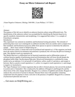 Essay on Micro Unknown Lab Report
| Gram Negative Unknown | Biology 3444 006 | | Lena Wallace | 11/7/2011 |
|
Abstract:
The purpose of this lab was to identify an unknown bacteria culture using differential tests. The
identification of the unknown culture was accomplished by identifying the bacteria based on its
specific metabolic characteristics and morphology. It is suggested that culture 11 is a sample of
Enterobacter aerogenes.
Introduction:
This experiment was centered on metabolic and biochemical testing procedures. The rationale of
performing these tests was to distinguish six different microbes from one another and to compare how
their metabolic and biochemical processes differ from species to species to determine the unknown
sample. ... Show more content on Helpwriting.net ...
If the broth turns yellow, it means that acid was produced and reported as A. If the organism can break
down the amino acids be de amination and ammonia is produced, this will raise the pH level turning it
pink. This alkaline result was reported as K.
The Methyl Red test is a differential test for bacterial respiration used to differentiate strains of
coliform bacteria capable of performing mixed acid fermentation that will lower the pH despite the
phosphate buffer (http://faculty.deanza.fhda.edu). Mixed acid fermentation is confirmed by using
methyl red as an indicator. It is red ant pH 4.4 and below, yellow at pH 6.2 and above, and orange in
between. Red is a positive result reported as (+), yellow is a negative result reported as ( ), and orange
is negative or inconclusive.
The Voges Proskauer test to detect organisms that are able to ferment glucose, but convert the products
to acetoin and 2,3 butanediol. This is deduced by the addition of Reagent A and Reagent B, and the
observation of the color change thereafter. Reagent A is a solution of naphthol and alcohol. Reagent A
catalyzes the conversion of acetoin to diacetyl. Diacetyl thens react with guanidine containing
compounds from the peptone to form a red color in the presence of naphthol. Reagent B is a solution
of potassium hydroxide and water. It
... Get more on HelpWriting.net ...
 