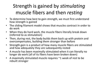 Strength is gained by stimulating muscle fibers and then restingTo determine how best to gain strength, we must first understand how strength is gainedThe sliding filament model shows that muscles contract in order to do workWhen they do hard work, the muscle fibers literally break down (referred to as stimulation)Then, during rest, the body builds them back up with protein and overcompensates, building them stronger than beforeStrength gain is a product of how many muscle fibers are stimulated and how adequately they are subsequently restedA muscle has been maximally stimulated when it can literally no longer do work (all of its fibers have been broken down)A maximally stimulated muscle requires ~1 week of rest to be rebuilt stronger