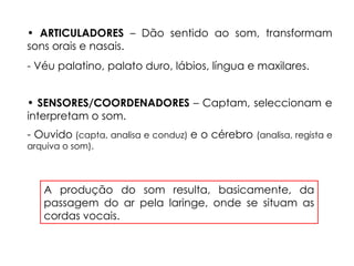 • SENSORES/COORDENADORES – Captam, seleccionam e
interpretam o som.
- Ouvido (capta, analisa e conduz) e o cérebro (analisa, regista e
arquiva o som).
• ARTICULADORES – Dão sentido ao som, transformam
sons orais e nasais.
- Véu palatino, palato duro, lábios, língua e maxilares.
A produção do som resulta, basicamente, da
passagem do ar pela laringe, onde se situam as
cordas vocais.
 