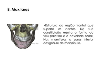 •Estrutura da região frontal que
suporta os dentes. Da sua
constituição resulta a forma do
véu palatino e a cavidade nasal.
Nos mamíferos a zona inferior
designa-se de mandíbula.
8. Maxilares
 