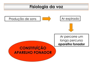 Fisiologia da voz
Ar expirado
Produção de sons
Ar percorre um
longo percurso
aparelho fonador
CONSTITUÍÇÃO
APARELHO FONADOR
 