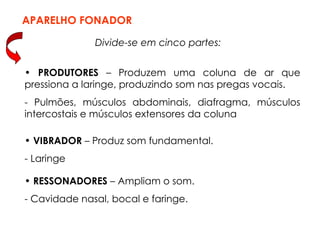 Divide-se em cinco partes:
• PRODUTORES – Produzem uma coluna de ar que
pressiona a laringe, produzindo som nas pregas vocais.
- Pulmões, músculos abdominais, diafragma, músculos
intercostais e músculos extensores da coluna
APARELHO FONADOR
• VIBRADOR – Produz som fundamental.
- Laringe
• RESSONADORES – Ampliam o som.
- Cavidade nasal, bocal e faringe.
 