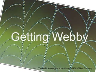 Getting Webby http://www.flickr.com/photos/otterlove/438302801/sizes/o/ 