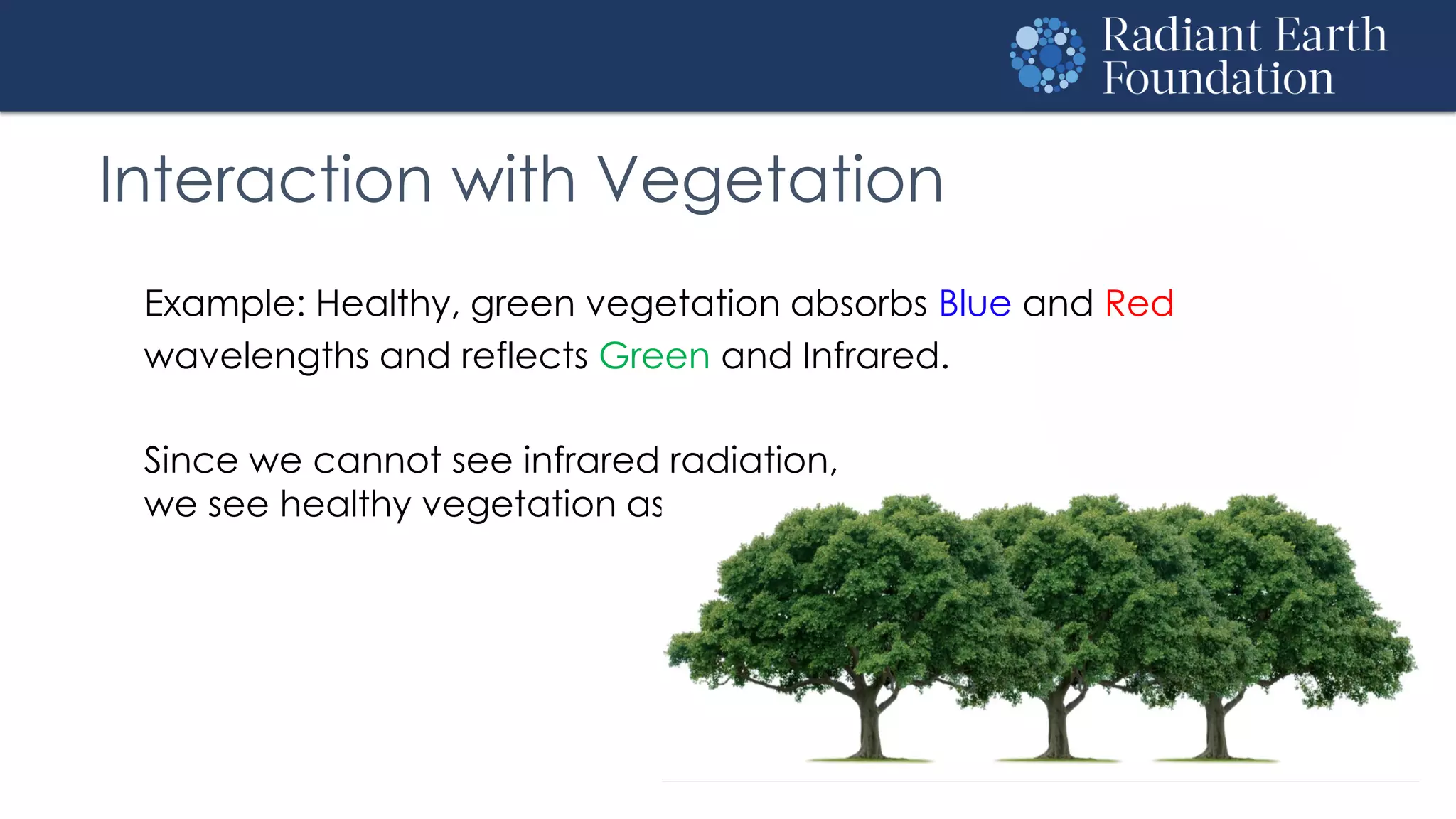 Interaction with Vegetation
Example: Healthy, green vegetation absorbs Blue and Red
wavelengths and reflects Green and Infrared.
Since we cannot see infrared radiation,
we see healthy vegetation as green.
 