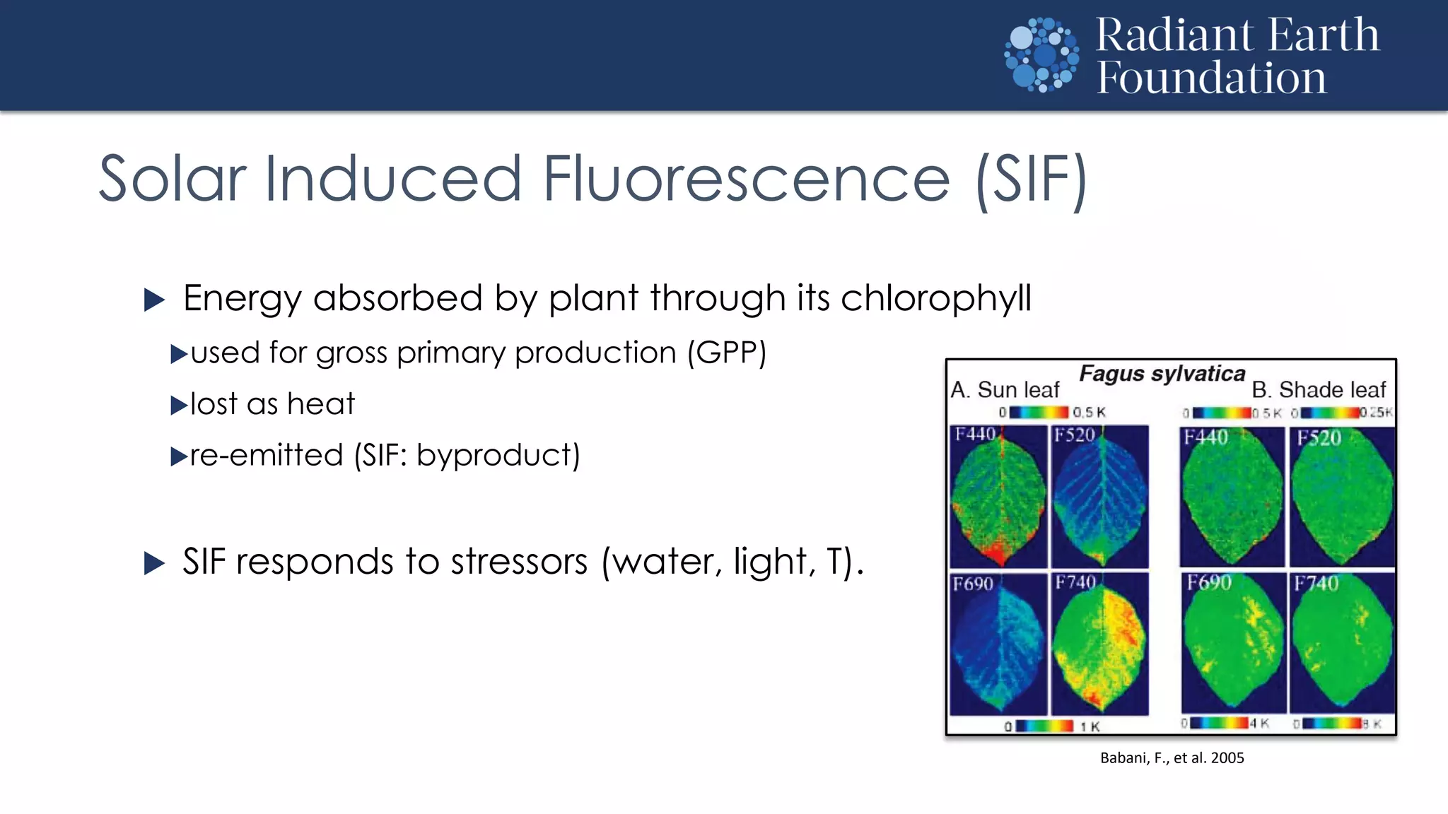 Solar Induced Fluorescence (SIF)
 Energy absorbed by plant through its chlorophyll
used for gross primary production (GPP)
lost as heat
re-emitted (SIF: byproduct)
 SIF responds to stressors (water, light, T).
Babani, F., et al. 2005
 
