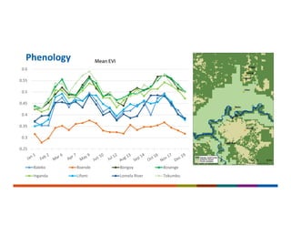 Phenology
0.25
0.3
0.35
0.4
0.45
0.5
0.55
0.6
Mean EVI
Baleko Boende Bongoy Bosenge
Inganda Lifomi Lomela River Tokumbu
 