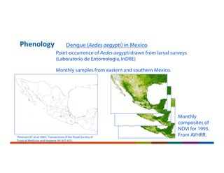 Phenology
Peterson AT et al. 2005. Transactions of the Royal Society of
Tropical Medicine and Hygiene 99: 647-655.
Dengue (Aedes aegypti) in Mexico
Point-occurrence of Aedes aegypti drawn from larval surveys
(Laboratorio de Entomologia, InDRE)
Monthly samples from eastern and southern Mexico.
Monthly
composites of
NDVI for 1995.
From AVHRR.
 