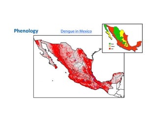 Phenology Dengue in Mexico
 