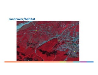 Landcover/habitat
 
