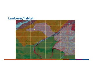 Landcover/habitat
 