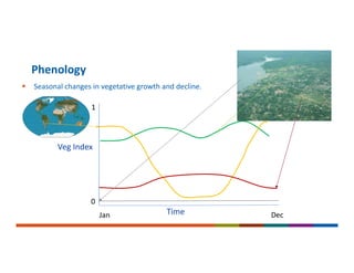  Seasonal changes in vegetative growth and decline.
Phenology
Veg Index
Time
0
1
Jan Dec
 