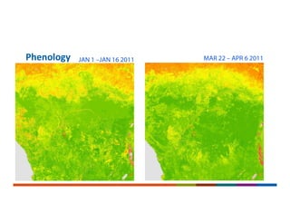 Phenology JAN 1 –JAN 16 2011 MAR 22 – APR 6 2011
 