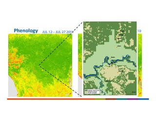 Phenology JUL 12 – JUL 27 2011 OCT 16 – OCT 31 2010
 