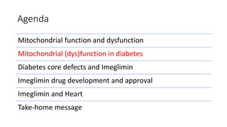 Agenda
Mitochondrial function and dysfunction
Mitochondrial (dys)function in diabetes
Diabetes core defects and Imeglimin
Imeglimin drug development and approval
Imeglimin and Heart
Take-home message
 