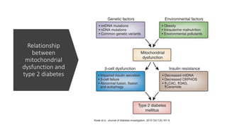 Relationship
between
mitochondrial
dysfunction and
type 2 diabetes
Kwak et a.. Journal of diabetes investigation. 2010 Oct;1(5):161-9.
 