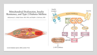 Current diabetes reports. 2008 Jun;8(3):173-8.
 