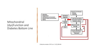 Mitochondrial
(dys)Function and
Diabetes Bottom Line
Endocrine reviews. 2010 Jun 1;31(3):364-95.
 