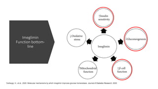 Imeglimin
Function bottom-
line
Yaribeygi, H., et al., 2020. Molecular mechanisms by which imeglimin improves glucose homeostasis. Journal of Diabetes Research, 2020.
 