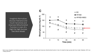 Imeglimin Normalizes
Glucose Tolerance and
Insulin Sensitivity and
Improves Mitochondrial
Function in Liver of a
High-Fat High-Sucrose
Diet Mice Model
Vial G, et al. Imeglimin normalizes glucose tolerance and insulin sensitivity and improves mitochondrial function in liver of a high-fat, high-sucrose diet mice model. Diabetes. 2015 Jun
1;64(6):2254-64.
 