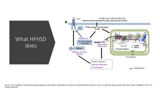 What HFHSD
does
Vial G, et al. Imeglimin normalizes glucose tolerance and insulin sensitivity and improves mitochondrial function in liver of a high-fat, high-sucrose diet mice model. Diabetes. 2015 Jun
1;64(6):2254-64.
 