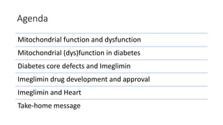 Agenda
Mitochondrial function and dysfunction
Mitochondrial (dys)function in diabetes
Diabetes core defects and Imeglimin
Imeglimin drug development and approval
Imeglimin and Heart
Take-home message
 